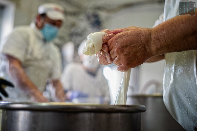 Kaasmaker vormt verse mozzarella in een kaasmakerij bij Bari