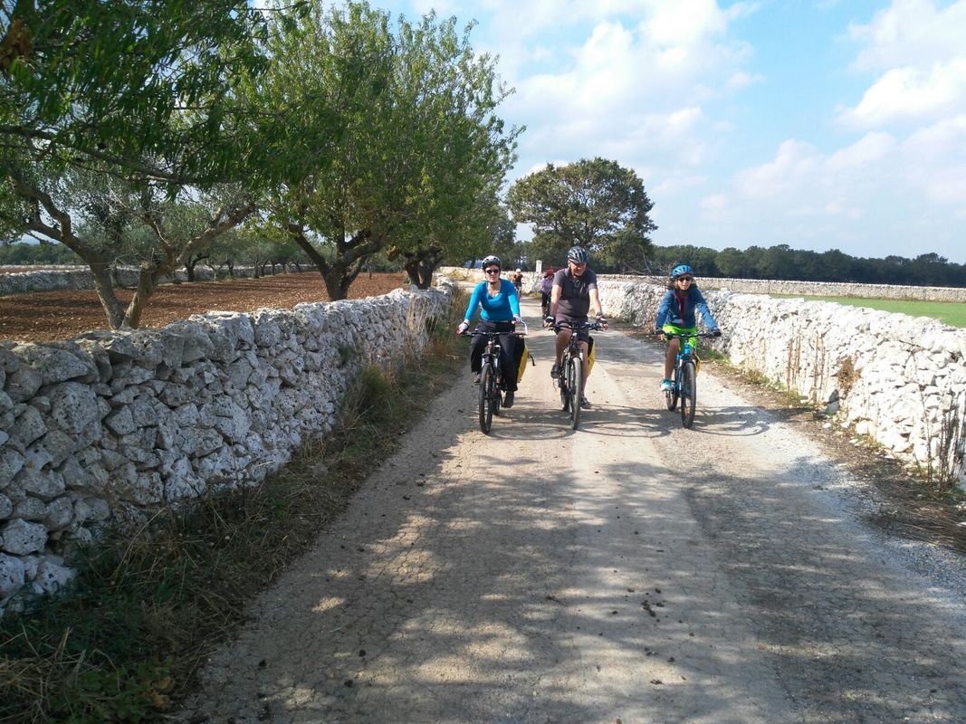 Fietser geniet van het uitzicht over de olijfgaarden in Puglia