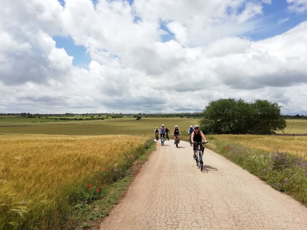 Fietsen langs de Adriatische kust van Puglia