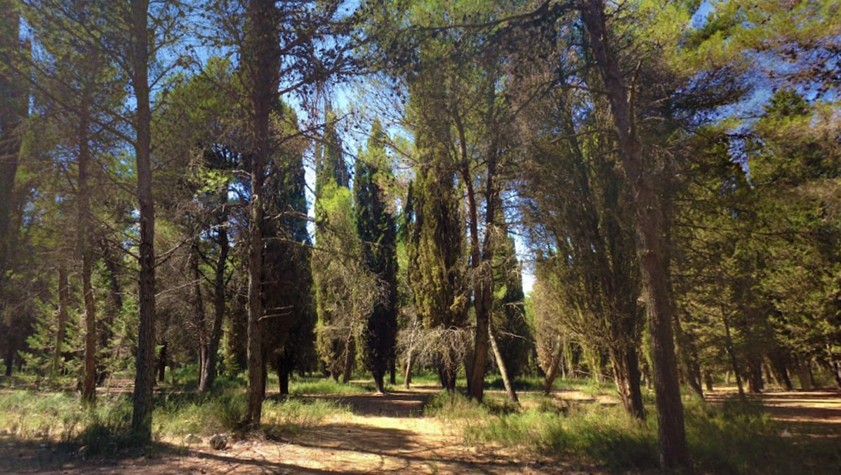 Het Mercadante-bos bij Cassano delle Murge