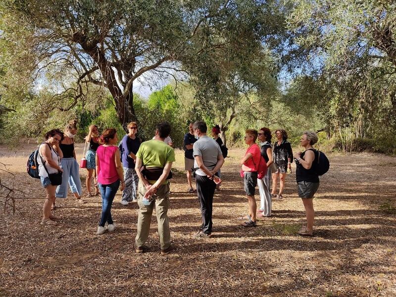 Kleine groep luistert naar een lokale gids in een olijfgaard in Puglia
